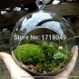 3pcs/set 4" air plant globe terrariums,hanging glass planter for home decor/garden ornaments