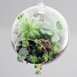 3pcs/set 4" air plant globe terrariums,hanging glass planter for home decor/garden ornaments