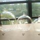 Single Terrariums