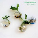 4 x 5" wall terrarium//indoor wall planters//wall glass vase,wall fishbowl for wall decor