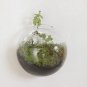 4 x 5" wall terrarium//indoor wall planters//wall glass vase,wall fishbowl for wall decor