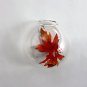 4 x 5" wall terrarium//indoor wall planters//wall glass vase,wall fishbowl for wall decor