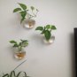 4 x 5" wall terrarium//indoor wall planters//wall glass vase,wall fishbowl for wall decor