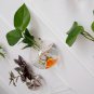 4 x 5" wall terrarium//indoor wall planters//wall glass vase,wall fishbowl for wall decor
