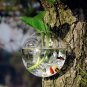 4 x 5" wall terrarium//indoor wall planters//wall glass vase,wall fishbowl for wall decor