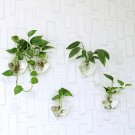 Set of 5 hexagon glass wall terrariums,indoor wall planters,wall vase for home decor