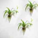 Set of 3 cone wall terrarium//indoor wall planters/ taper glass vase for wall decor