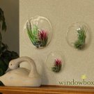 A set of 3 dome wall terrarium//indoor planter vase/wall bubble bowl for wall decor