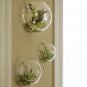 A set of 3 dome wall terrarium//indoor planter vase/wall bubble bowl for wall decor