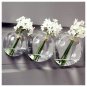 A set of 3 dome wall terrarium//indoor planter vase/wall bubble bowl for wall decor
