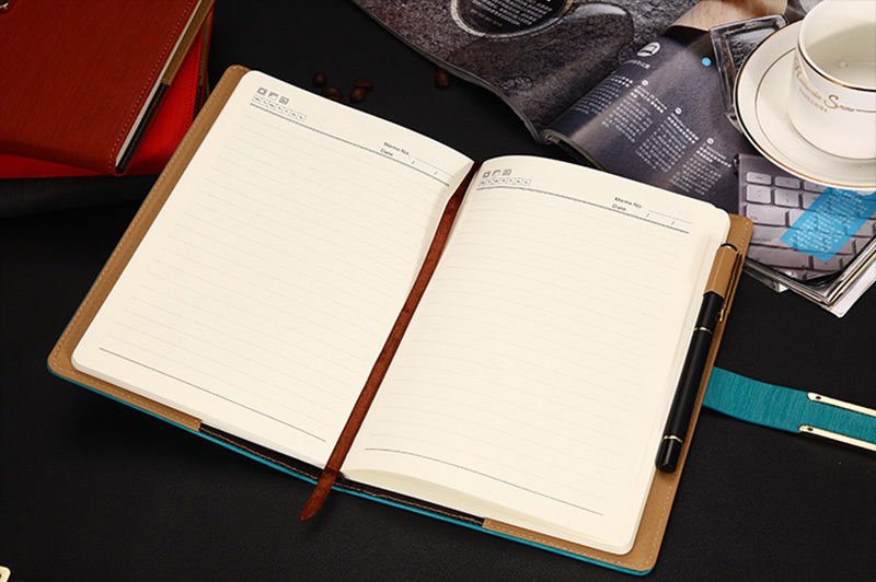 Blue diary essay 02 image