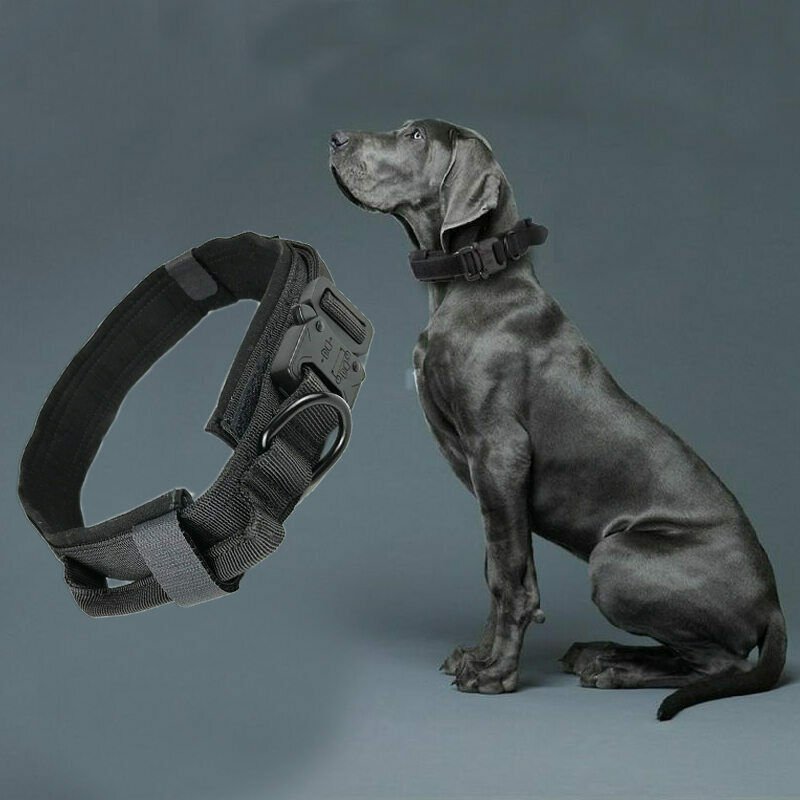Heavy Duty K9 Tactical Dog Collar with Cobra Buckle for Trainning