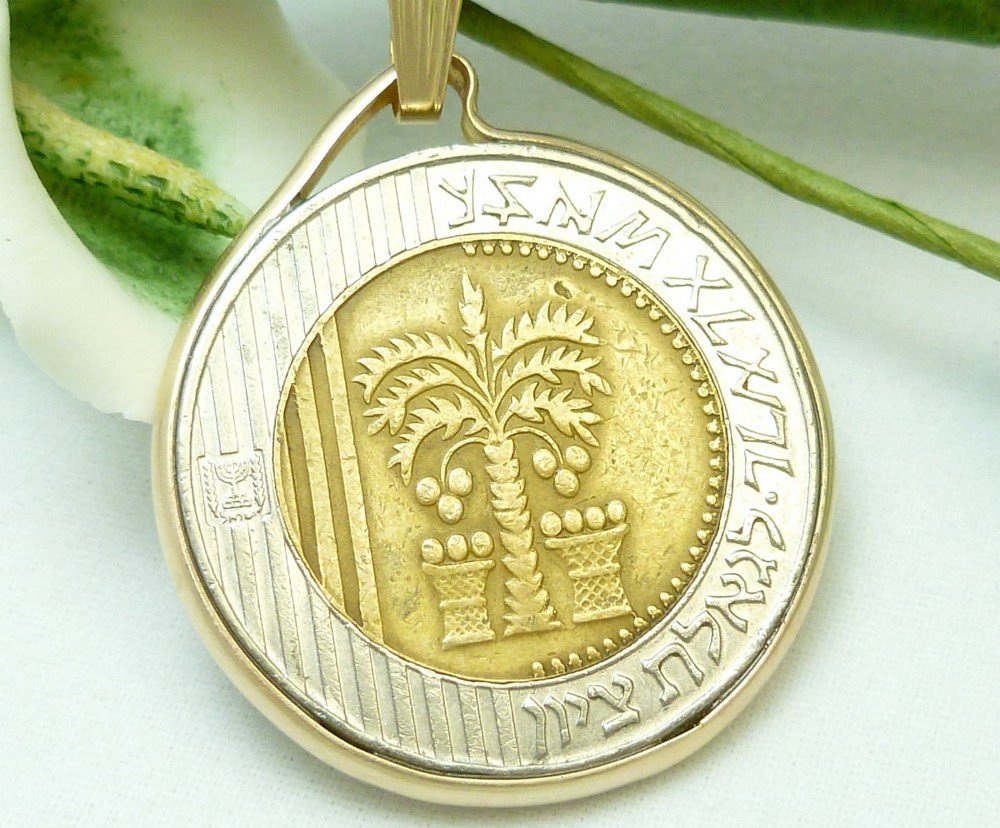 Israel 10 New Sheqalim Bi-Metallic Coin Pendant 14kt Chain Necklace  Coin jewelry