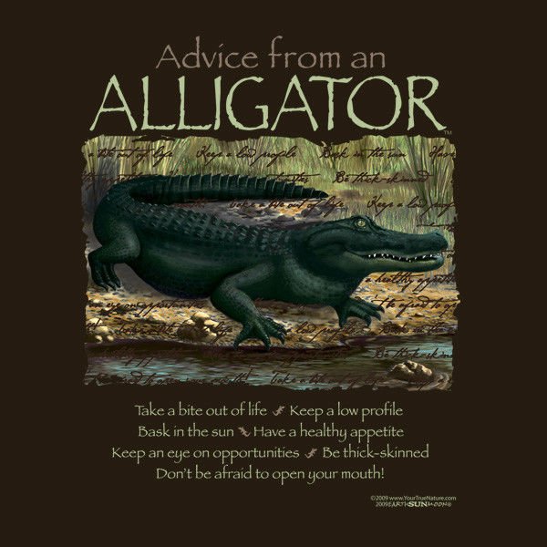 Bite out of life. Туалетная вода Аллигатор. Alligator духи. Духи Alligator elegans.