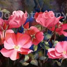 Wild Roses ***ON SALE***