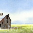 Old Barn Vista ***ON SALE***