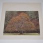William Ackerman It Takes a Year NM Near Mint Vinyl Record