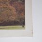 William Ackerman It Takes a Year NM Near Mint Vinyl Record