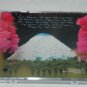 Canyon Country There's a Forest in the Fire CD