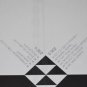 SEALED Prototypes Synthetique 180g Vinyl Record + Download
