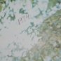 Debbie Wright Rare Ohio Christian Rock NM LP I Like What's Happened Vinyl Record