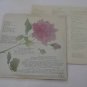 Billy Falcon's Burning Rose Near Mint NM Vinyl Record