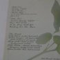 Billy Falcon's Burning Rose Near Mint NM Vinyl Record