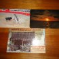 Lot 3 Vintage Tijuana Mexico Postcards Bullfighting