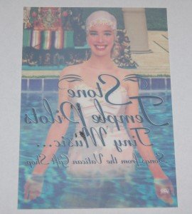 Stone Temple Pilots Tiny Music Window Cling Decal STP Unused STP Car Glass Decor
