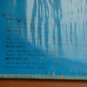 The Windows S/T Rare Jackson MS Promo Record Link Management Band Info Sheets LP