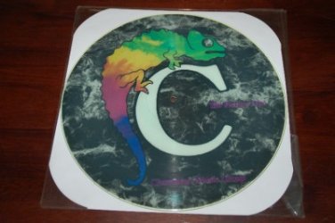 Chameleon Music Group The Picture Disc Near Mint Vinyl Record Pic John Hooker