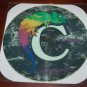 Chameleon Music Group The Picture Disc Near Mint Vinyl Record Pic John Hooker