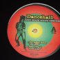Rare Reggae Mini LP Dancehall High Grade Sean Paul Spragga Benz 12" Vinyl Record
