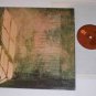 Toni Brown & Terry Garthwaite The Joy VG++ to NM Vinyl Record LP