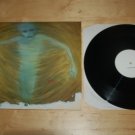 Rare Daredevils Seeds in the Spoil 12" Alt Rock Near Mint NM Vinyl Record