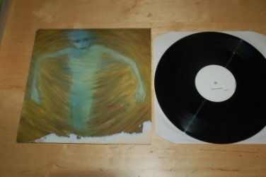 Rare Daredevils Seeds in the Spoil 12" Alt Rock Near Mint NM Vinyl Record