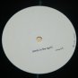Rare Daredevils Seeds in the Spoil 12" Alt Rock Near Mint NM Vinyl Record