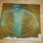 Rare Daredevils Seeds in the Spoil 12" Alt Rock Near Mint NM Vinyl Record
