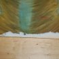 Rare Daredevils Seeds in the Spoil 12" Alt Rock Near Mint NM Vinyl Record