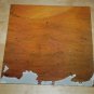 Rare Daredevils Seeds in the Spoil 12" Alt Rock Near Mint NM Vinyl Record