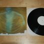 Rare Daredevils Seeds in the Spoil 12" Alt Rock Near Mint NM Vinyl Record
