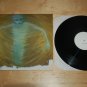 Rare Daredevils Seeds in the Spoil 12" Alt Rock Near Mint NM Vinyl Record