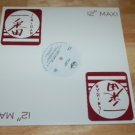 Rare Fat Boys DJ Copy Whip it On Me Fly Car 12" Single Near Mint Vinyl Record