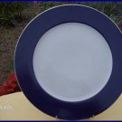 HAVILAND MARINE PLATINE SERVICE PLATTER