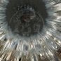 Baccarat Messena Flute Pair
