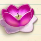 Lotus Lantern - Farmville 2