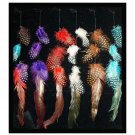 24 pieces Grizzly Hair Feather Extensions on 3 feathers on a Long Chain w/clip