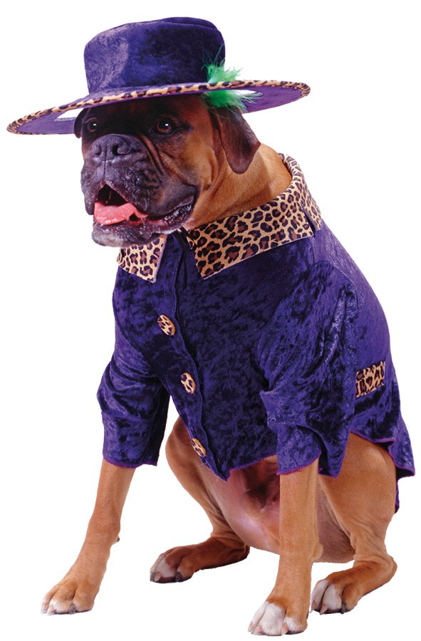 PET COSTUME BIG DADDY