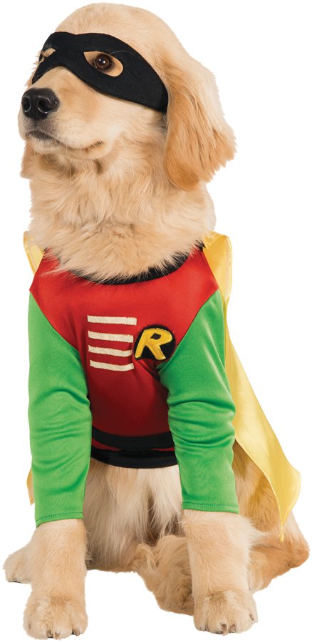 High Quality PET COSTUME ROBIN Large