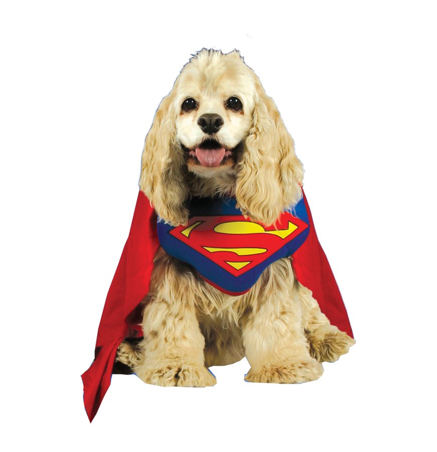 High Quality SUPERMAN PET COSTUME size Large